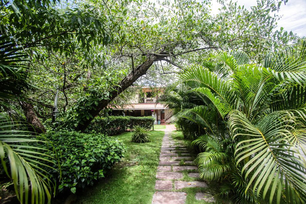 Manglar Lodge Сан-Карлос Экстерьер фото